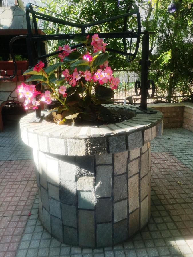 Blue Garden Rooms Paralia Katerinis Exterior photo